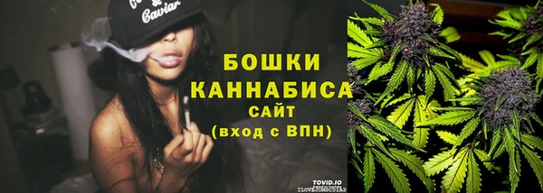 ECSTASY Богородск